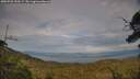 ./images/calvert/fitz-hugh-hecate/20250728/fitz-hugh-hecate20250728_190508M.jpg