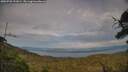 ./images/calvert/fitz-hugh-hecate/20250728/fitz-hugh-hecate20250728_191009M.jpg