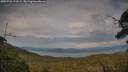 ./images/calvert/fitz-hugh-hecate/20250728/fitz-hugh-hecate20250728_192009M.jpg