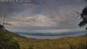 ./images/calvert/fitz-hugh-hecate/20250728/fitz-hugh-hecate20250728_193508M.jpg