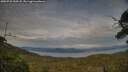 ./images/calvert/fitz-hugh-hecate/20250728/fitz-hugh-hecate20250728_200508M.jpg