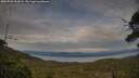 ./images/calvert/fitz-hugh-hecate/20250728/fitz-hugh-hecate20250728_201009M.jpg