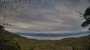 ./images/calvert/fitz-hugh-hecate/20250728/fitz-hugh-hecate20250728_203508M.jpg