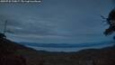 ./images/calvert/fitz-hugh-hecate/20250728/fitz-hugh-hecate20250728_220007M.jpg