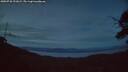 ./images/calvert/fitz-hugh-hecate/20250728/fitz-hugh-hecate20250728_221009M.jpg