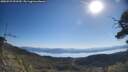 ./images/calvert/fitz-hugh-hecate/20250729/fitz-hugh-hecate20250729_093510M.jpg
