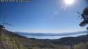 ./images/calvert/fitz-hugh-hecate/20250729/fitz-hugh-hecate20250729_100509M.jpg