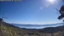 ./images/calvert/fitz-hugh-hecate/20250729/fitz-hugh-hecate20250729_102510M.jpg