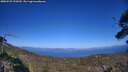 ./images/calvert/fitz-hugh-hecate/20250729/fitz-hugh-hecate20250729_170510M.jpg