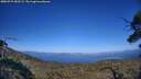 ./images/calvert/fitz-hugh-hecate/20250729/fitz-hugh-hecate20250729_182509M.jpg