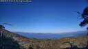 ./images/calvert/fitz-hugh-hecate/20250729/fitz-hugh-hecate20250729_191506M.jpg