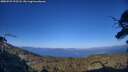 ./images/calvert/fitz-hugh-hecate/20250729/fitz-hugh-hecate20250729_192508M.jpg