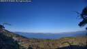 ./images/calvert/fitz-hugh-hecate/20250729/fitz-hugh-hecate20250729_193009M.jpg