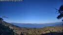 ./images/calvert/fitz-hugh-hecate/20250729/fitz-hugh-hecate20250729_193509M.jpg