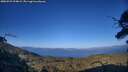 ./images/calvert/fitz-hugh-hecate/20250729/fitz-hugh-hecate20250729_194009M.jpg