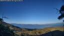 ./images/calvert/fitz-hugh-hecate/20250729/fitz-hugh-hecate20250729_200007M.jpg