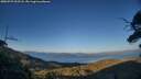 ./images/calvert/fitz-hugh-hecate/20250729/fitz-hugh-hecate20250729_202508M.jpg