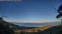 ./images/calvert/fitz-hugh-hecate/20250729/fitz-hugh-hecate20250729_203508M.jpg