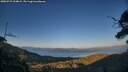 ./images/calvert/fitz-hugh-hecate/20250729/fitz-hugh-hecate20250729_204009M.jpg