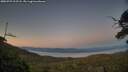 ./images/calvert/fitz-hugh-hecate/20250729/fitz-hugh-hecate20250729_213508M.jpg