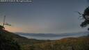 ./images/calvert/fitz-hugh-hecate/20250729/fitz-hugh-hecate20250729_214508M.jpg