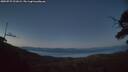 ./images/calvert/fitz-hugh-hecate/20250729/fitz-hugh-hecate20250729_221009M.jpg