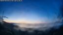 ./images/calvert/fitz-hugh-hecate/20250730/fitz-hugh-hecate20250730_052508M.jpg