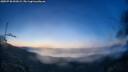 ./images/calvert/fitz-hugh-hecate/20250730/fitz-hugh-hecate20250730_053009M.jpg