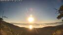 ./images/calvert/fitz-hugh-hecate/20250730/fitz-hugh-hecate20250730_065009M.jpg