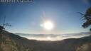 ./images/calvert/fitz-hugh-hecate/20250730/fitz-hugh-hecate20250730_071510M.jpg