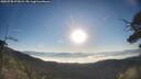 ./images/calvert/fitz-hugh-hecate/20250730/fitz-hugh-hecate20250730_073008M.jpg