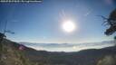 ./images/calvert/fitz-hugh-hecate/20250730/fitz-hugh-hecate20250730_075010M.jpg