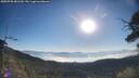 ./images/calvert/fitz-hugh-hecate/20250730/fitz-hugh-hecate20250730_081510M.jpg