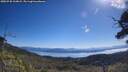 ./images/calvert/fitz-hugh-hecate/20250730/fitz-hugh-hecate20250730_104008M.jpg