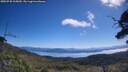 ./images/calvert/fitz-hugh-hecate/20250730/fitz-hugh-hecate20250730_105010M.jpg