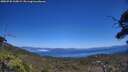 ./images/calvert/fitz-hugh-hecate/20250730/fitz-hugh-hecate20250730_135009M.jpg