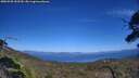 ./images/calvert/fitz-hugh-hecate/20250730/fitz-hugh-hecate20250730_153510M.jpg