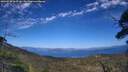 ./images/calvert/fitz-hugh-hecate/20250730/fitz-hugh-hecate20250730_163508M.jpg
