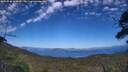 ./images/calvert/fitz-hugh-hecate/20250730/fitz-hugh-hecate20250730_165009M.jpg