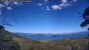 ./images/calvert/fitz-hugh-hecate/20250730/fitz-hugh-hecate20250730_173509M.jpg