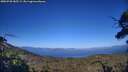 ./images/calvert/fitz-hugh-hecate/20250730/fitz-hugh-hecate20250730_185509M.jpg