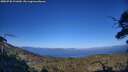 ./images/calvert/fitz-hugh-hecate/20250730/fitz-hugh-hecate20250730_191010M.jpg