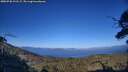 ./images/calvert/fitz-hugh-hecate/20250730/fitz-hugh-hecate20250730_191507M.jpg