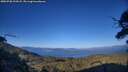 ./images/calvert/fitz-hugh-hecate/20250730/fitz-hugh-hecate20250730_194507M.jpg