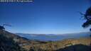 ./images/calvert/fitz-hugh-hecate/20250730/fitz-hugh-hecate20250730_195009M.jpg