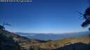 ./images/calvert/fitz-hugh-hecate/20250730/fitz-hugh-hecate20250730_195507M.jpg