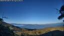 ./images/calvert/fitz-hugh-hecate/20250730/fitz-hugh-hecate20250730_200009M.jpg