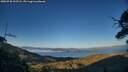 ./images/calvert/fitz-hugh-hecate/20250730/fitz-hugh-hecate20250730_202508M.jpg