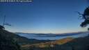 ./images/calvert/fitz-hugh-hecate/20250730/fitz-hugh-hecate20250730_204008M.jpg