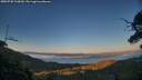 ./images/calvert/fitz-hugh-hecate/20250730/fitz-hugh-hecate20250730_210009M.jpg